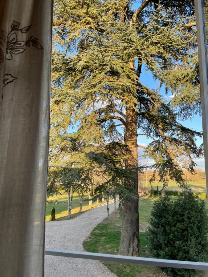Chateau Du Go Albi Eksteriør bilde